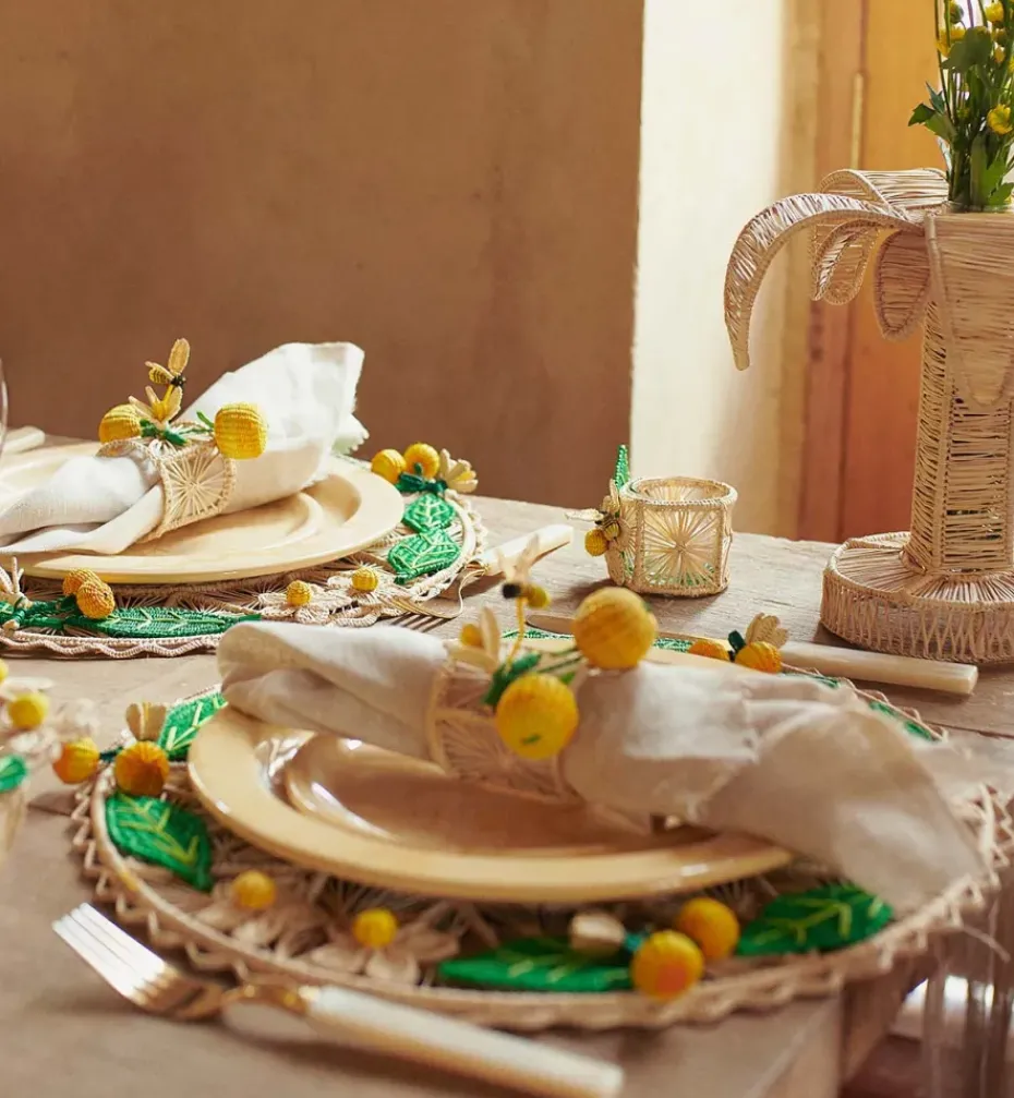 Placemats*Mercedes Salazar Orange Garden Placemat Set of 2